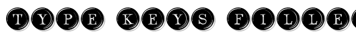 Type Keys Filled font